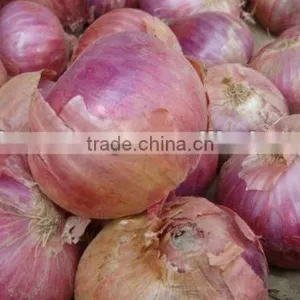 Phulkara Onion From Pakistan thumbnail-1