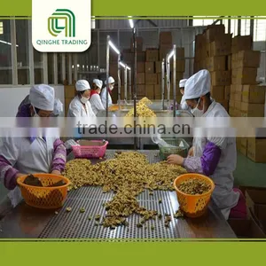 Light Pieces Walnut Kernels thumbnail-5