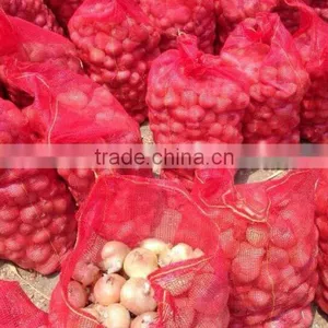 ONION SIZES ( 40 - 60 - 50 - 70 - 60 - 80 - up to 100 mm ) thumbnail-2