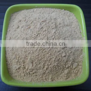 INDIAN DRIED GARLIC POWDER FOR SELL thumbnail-1