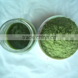 2015 100% Organic Kale Powder thumbnail-5