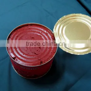 Oem Brand Canned Food Organic Flavor Tomato Paste Bright Red Color Tomato Ketchup Good Quality thumbnail-5
