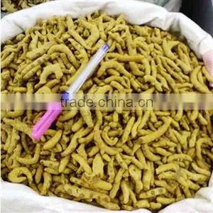 Best QualityTurmeric Root thumbnail-1