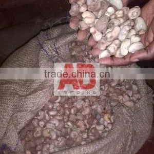 Benin Raw Cashew Nuts for World Market/ Good Quality thumbnail-1