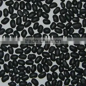 Organic Black Kidney Bean thumbnail-1