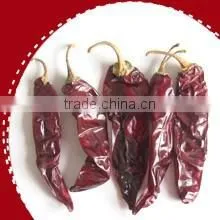 2014 New Paprika Pepper thumbnail-1