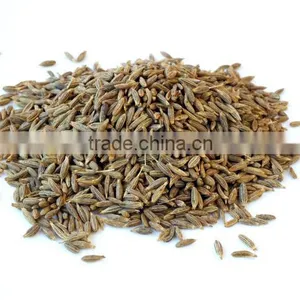 Cumin Seeds thumbnail-1
