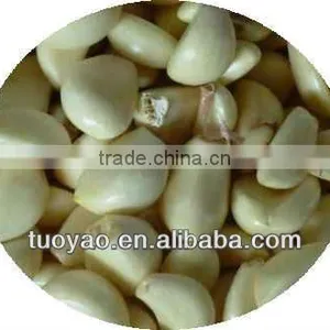 Most Popular and Big Capacity Garlic Peeling Machine With Best Price thumbnail-1