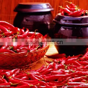FP-05 Shanghai Commercial Red Chili Pepper Making Machine thumbnail-2