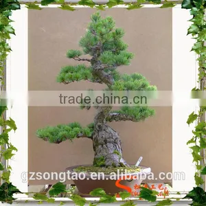 Grotesque or Fantastic in Shape or Appearance , Artificial Pot Manufacturing Plants for Wholesale thumbnail-1
