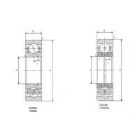 Four-point Angular Contact Ball Bearing thumbnail-2