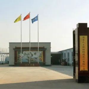Shijiazhuang Hongsu Textile Import & Export Co.,Ltd. company overview - view 1 thumbnail