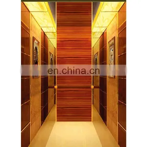 Residential Small Elevator Passenger Lift for 2 Person, Office Building Used Passenger Elevator thumbnail-1