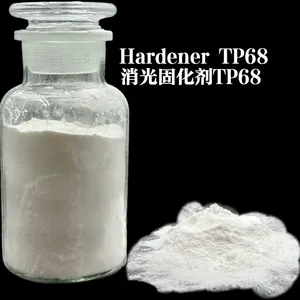 Tp68 Matting Hardener Agent With Epoxy Resin for Non-Gloss Indoor Powder Coating thumbnail-1