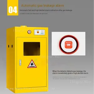 Intelligent Gas Cylinder Cabinet for Semiconductor Fabs, Standard Gas Leak Alarm & Automatic Exhaust System, OEM/ODM Supported thumbnail-4