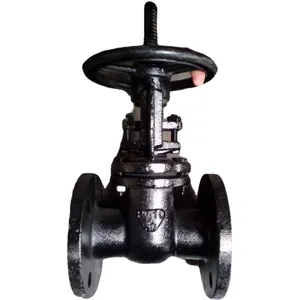 GOST Py16 Standard Z41T/W Z44T/W PN10 PN16 GOST Cast Iron Flange Type Manual Sluice Gate Valve Supplier thumbnail-1