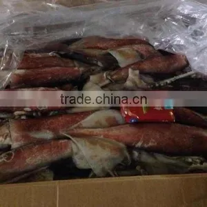 Sea Frozen Squid and Loligo Pacificus thumbnail-1