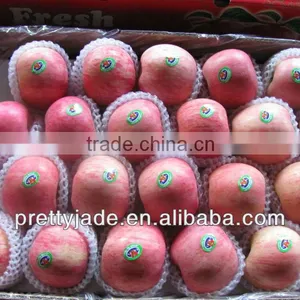 Fresh Fruit thumbnail-1