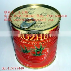 800gm Tomato Paste in Tin thumbnail-1