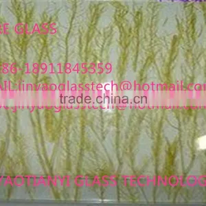 Wholesale Newest 2015 Excellent Safe Glass Wire Reinforced thumbnail-1