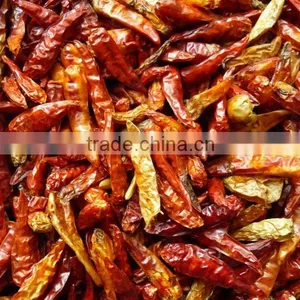 Dried Hot Chilli thumbnail-1