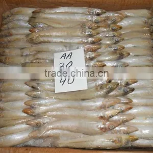 FROZEN LADY FISH thumbnail-3
