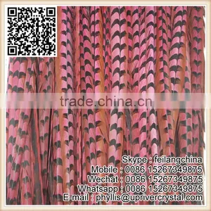Top Selling New Design 90-100CM Watermelon Reeves Pheasant Feather thumbnail-3