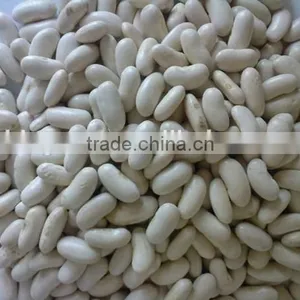 Chinese Medium White Kidney Beans for Sale Quality Choice thumbnail-4