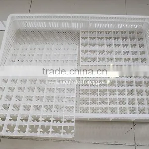 Top Selling 500 Chicken Hatching Incubator Fan CE Approved thumbnail-2