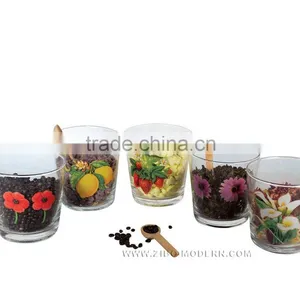 Blowing Glass Container thumbnail-1