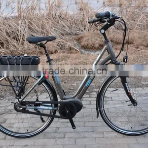 Mid Drive Motor Electric Bicycle With Front and Rear Roller Brake ,250w Central Motor Max System Bosch Shape thumbnail-1