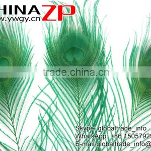 Leading Supplier CHINAZP Wholesale Cheap Full Eye Dyed Green Peacock Tail Feathers thumbnail-4