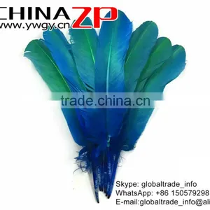 CHINAZP Natural Plumage Wonderful Quality Dyed Blue Green Ombre Bicolourable Turkey Feathers for Party Decoration thumbnail-3