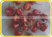 Round Red Chilles From Paramakudi thumbnail-5