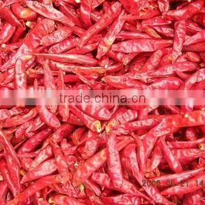 Tianjin Red Chillies thumbnail-1