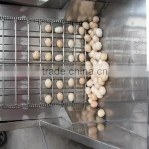 FT-200 Full Automatic Peeler Type Pre-boiled Hen Eggs Goose Eggs Sheller Shelling Machine With Stainless Steel thumbnail-5