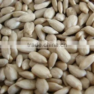 Surpplying Sunflower Kernels for Distributors Wholesalers thumbnail-1