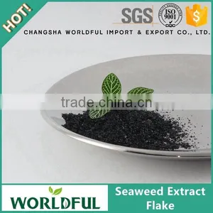 Natural High Quality Kelp Seaweed Extract Flake Helpful for Cultivation thumbnail-1