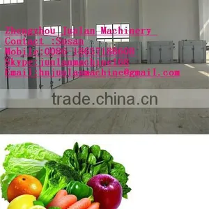 Fruit and Vegetable Dryer Machine/drying Machine thumbnail-1