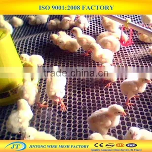 Factory Supply Plastic Chicken Wire Mesh thumbnail-3