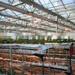Venlo Tempered Glass/float Glass Greenhouse With Hydroponic Growing thumbnail-1