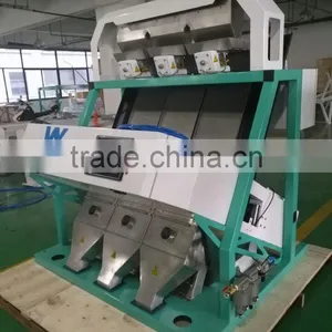 Long Service Life Fresh Garlic Color Sorting Machine /Sorter Machine for Garlic thumbnail-2