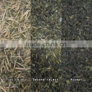 ZRWS Intelligent CCD Green Tea Color Selecting Machine thumbnail-2