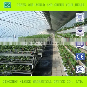 Low Cost Agriculture Greenhouse for Vegetable and Flowers thumbnail-3