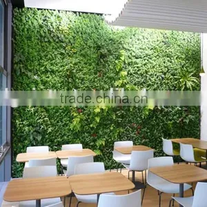 Wall Decore Plastic Plant/fake Plant Wall for Indoor and Outdoor Decoration With Factory Price thumbnail-1