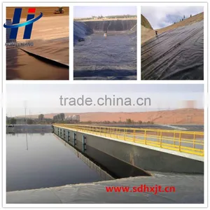 Geomembrane Type and Hdpe Material Waterproof Plastic Dam Liner thumbnail-1