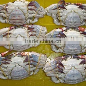 Frozen Seafood Best Seasons Alaskan Crab thumbnail-1