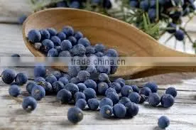 Juiper Berry Oil thumbnail-2