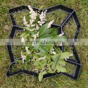 Factory Sale Concrete Paver Mold,DIY Your Garden and Pave Ways, Plastic Concrete Paving Mold for Your Yard Path and Platform thumbnail-2