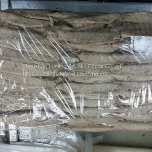 Precooked Sarda Tuna Loin Sarda Orientalis thumbnail-4